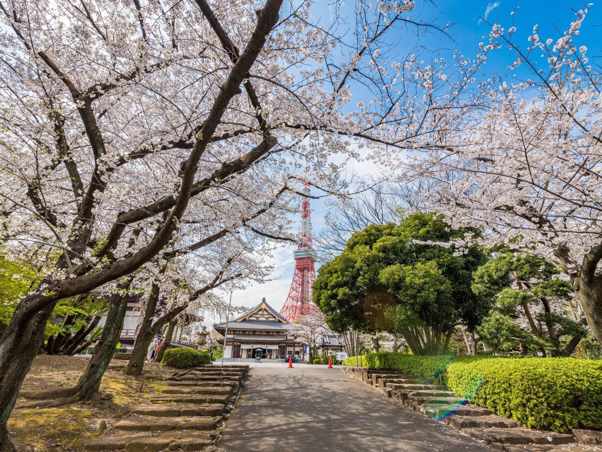 Illi Surp Shiba-Park Hotel Tokyo Ngoại thất bức ảnh